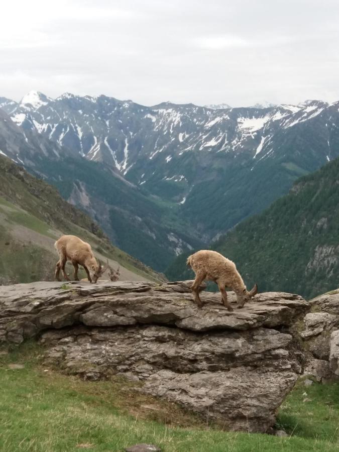Vacances A La Montagne Saint-Julien-en-Champsaur Екстериор снимка